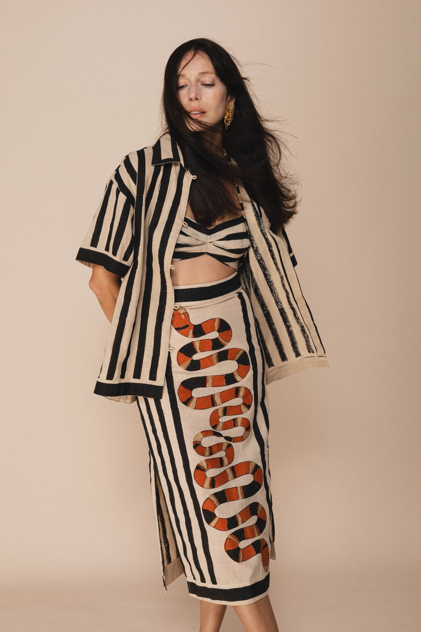 Sonoran Skirt and Top