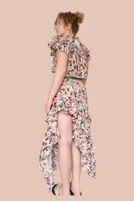 Bird skirt and top