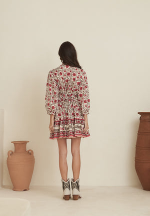 Anar Mini