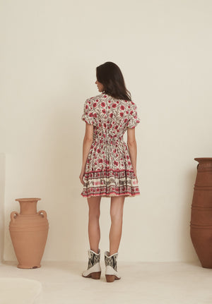 Anar Mini